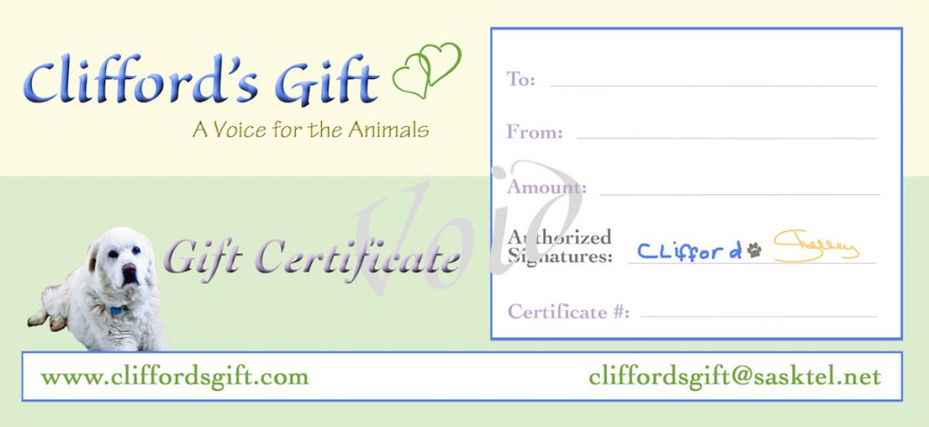 Animal Reiki Gift Certificate